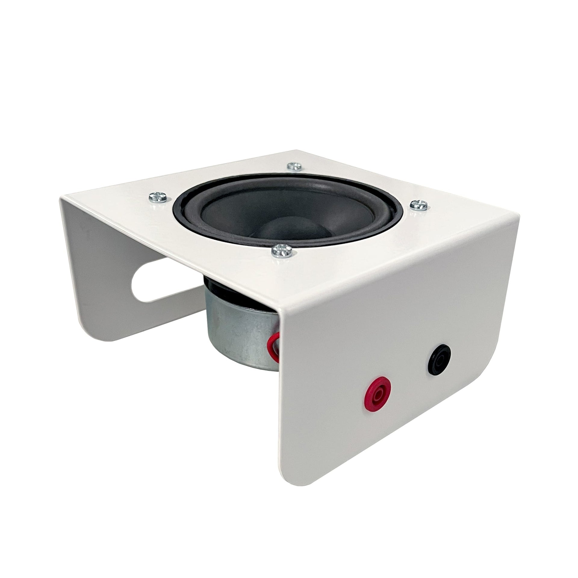 Arbor Scientific Laboratory Speaker