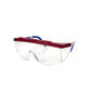Arbor Scientific Safety Glasses