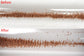 Arbor Scientific Cork Dust for Resonance Tube, 10 g
