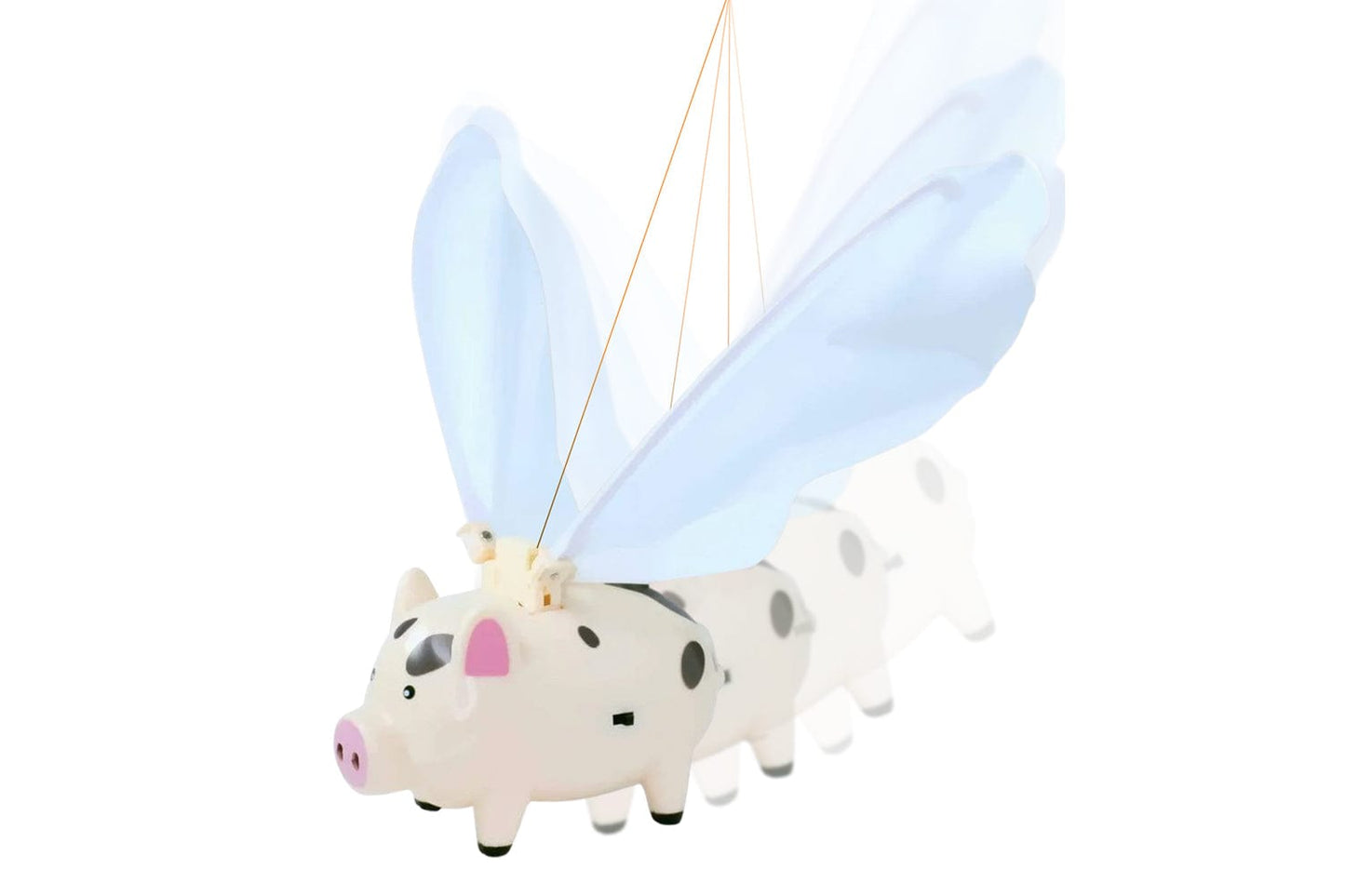 Arbor Scientific Flying Pig