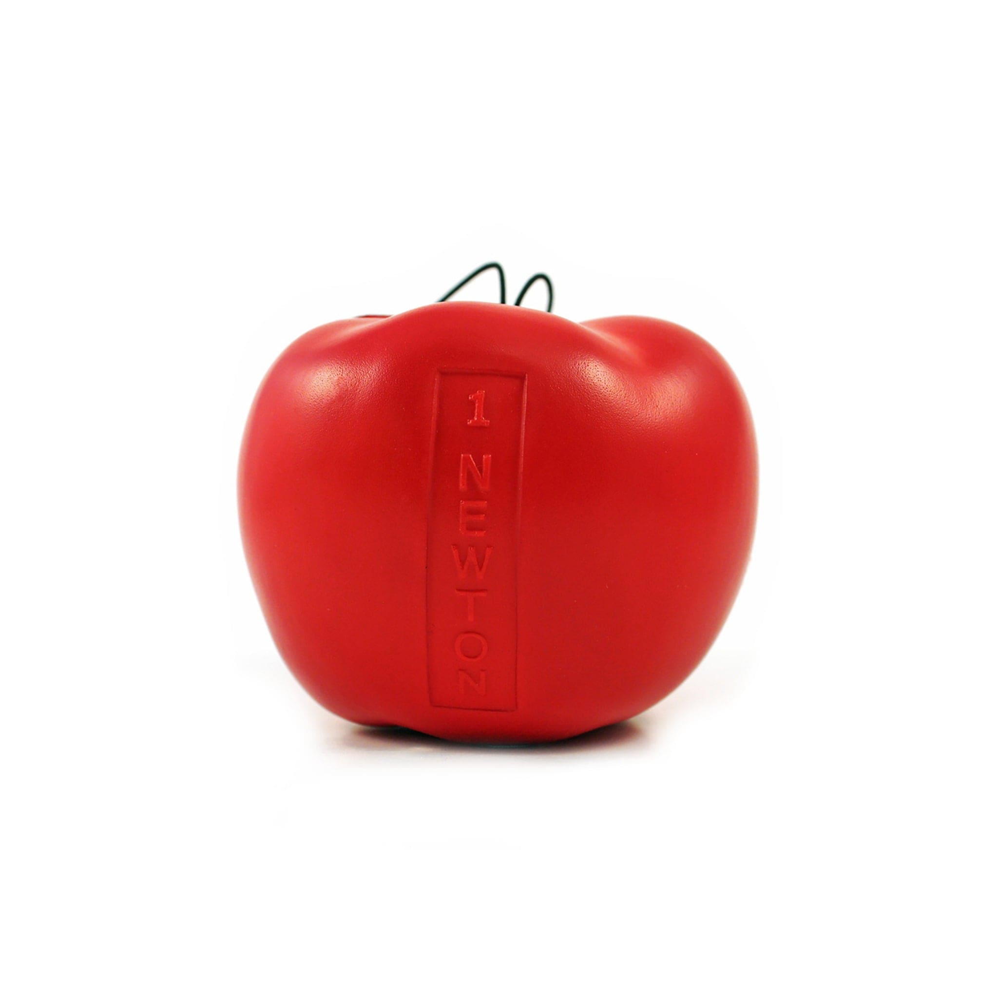 Apple - ウッディー Newton's Apple, 1 Newton - Arbor Scientific