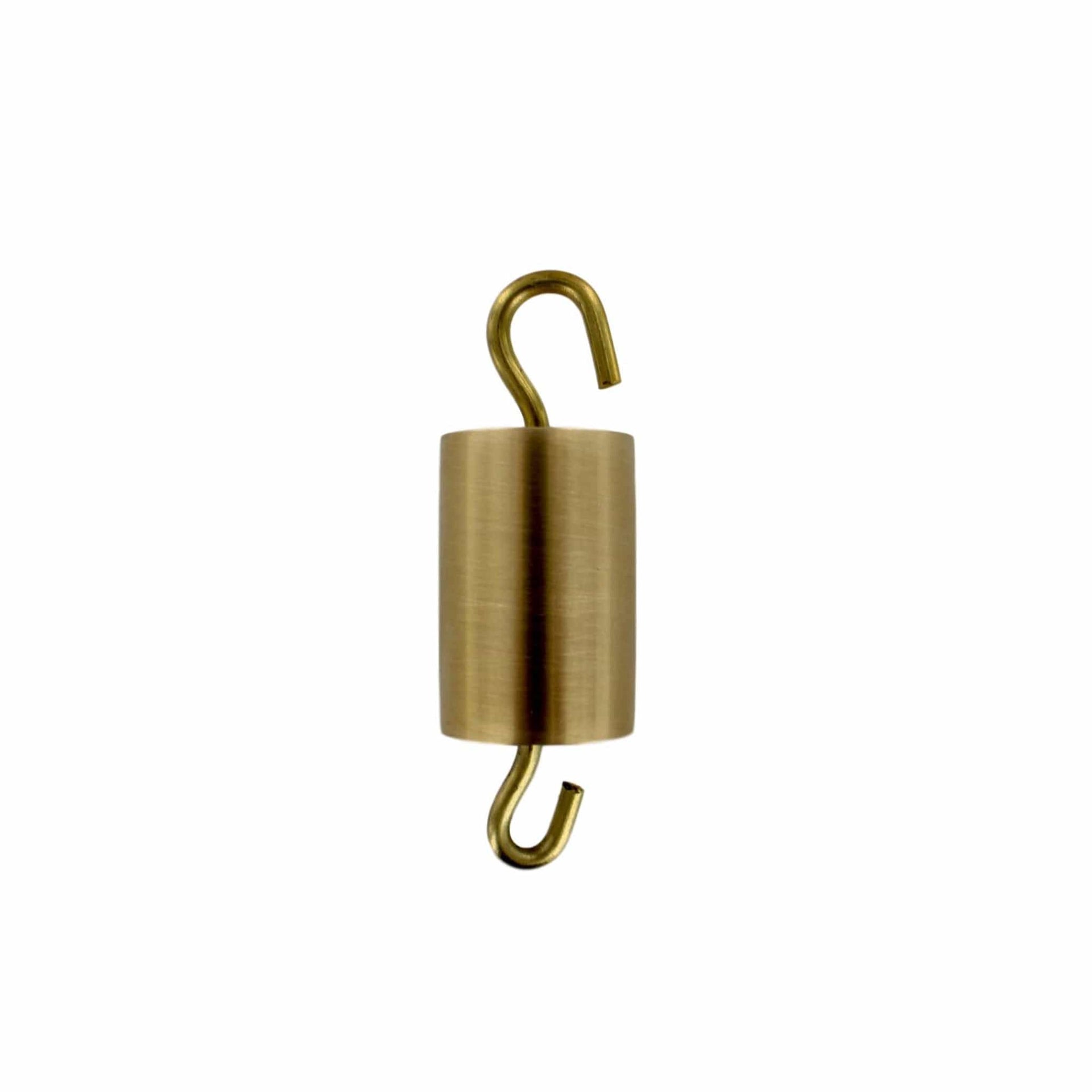 Arbor Scientific 50g Hooked Mass