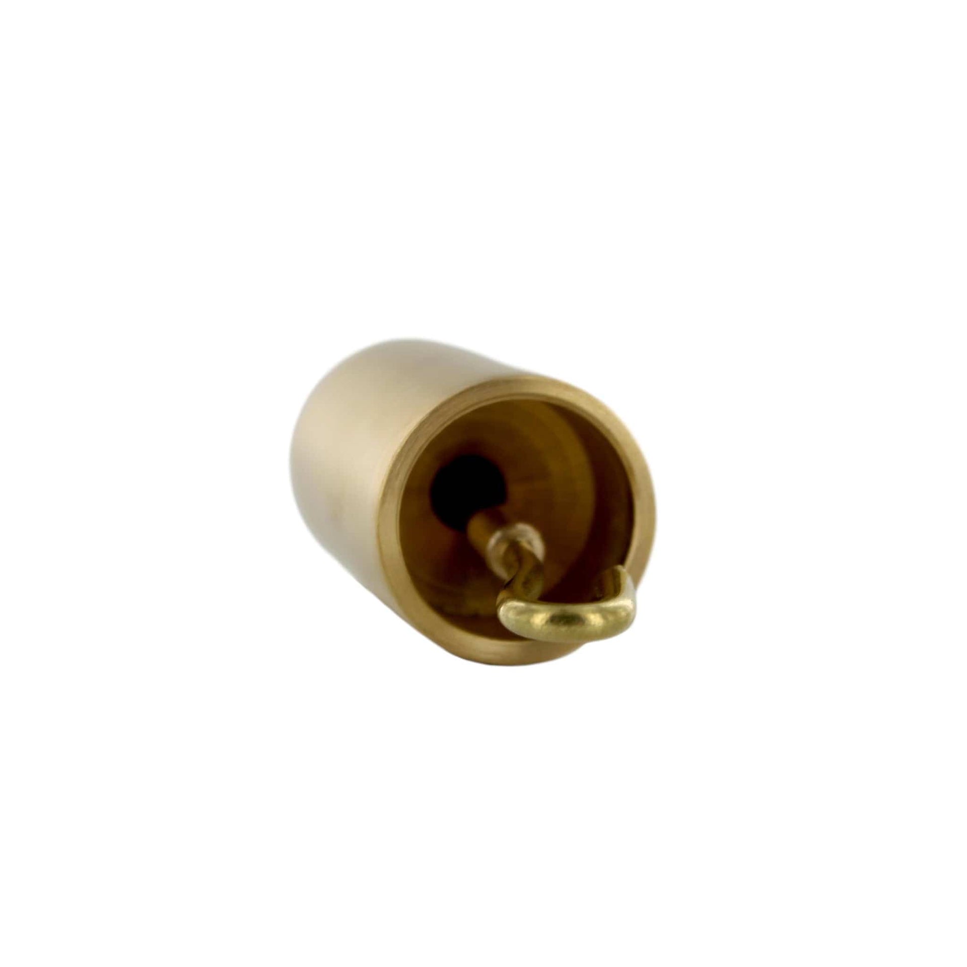 Arbor Scientific 50g Hooked Mass