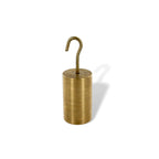 Arbor Scientific 100g Hooked Mass