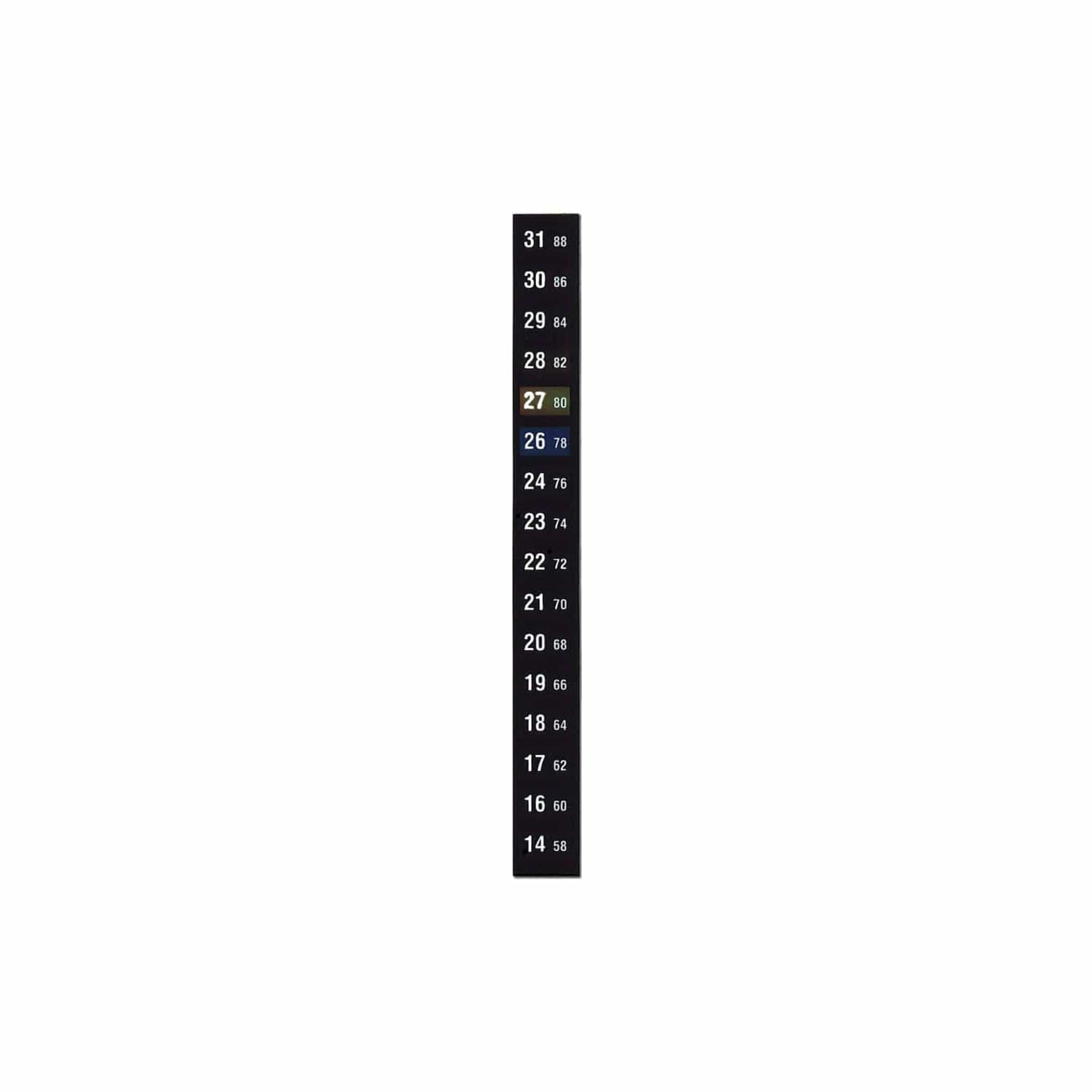 Arbor Scientific Strip Thermometer