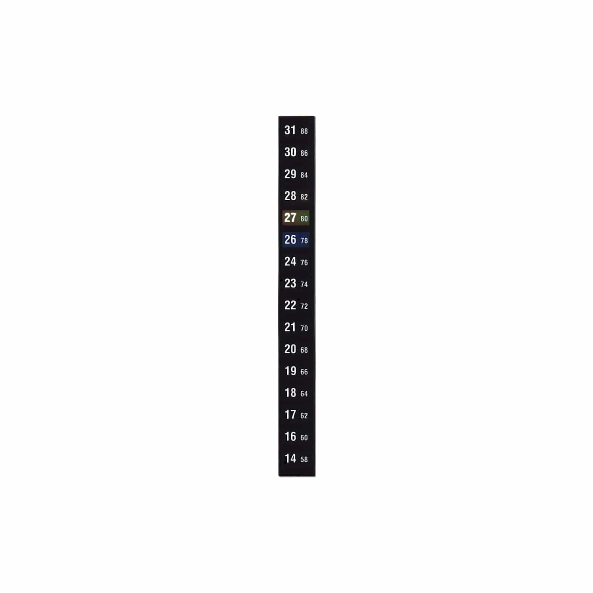 Arbor Scientific Strip Thermometer