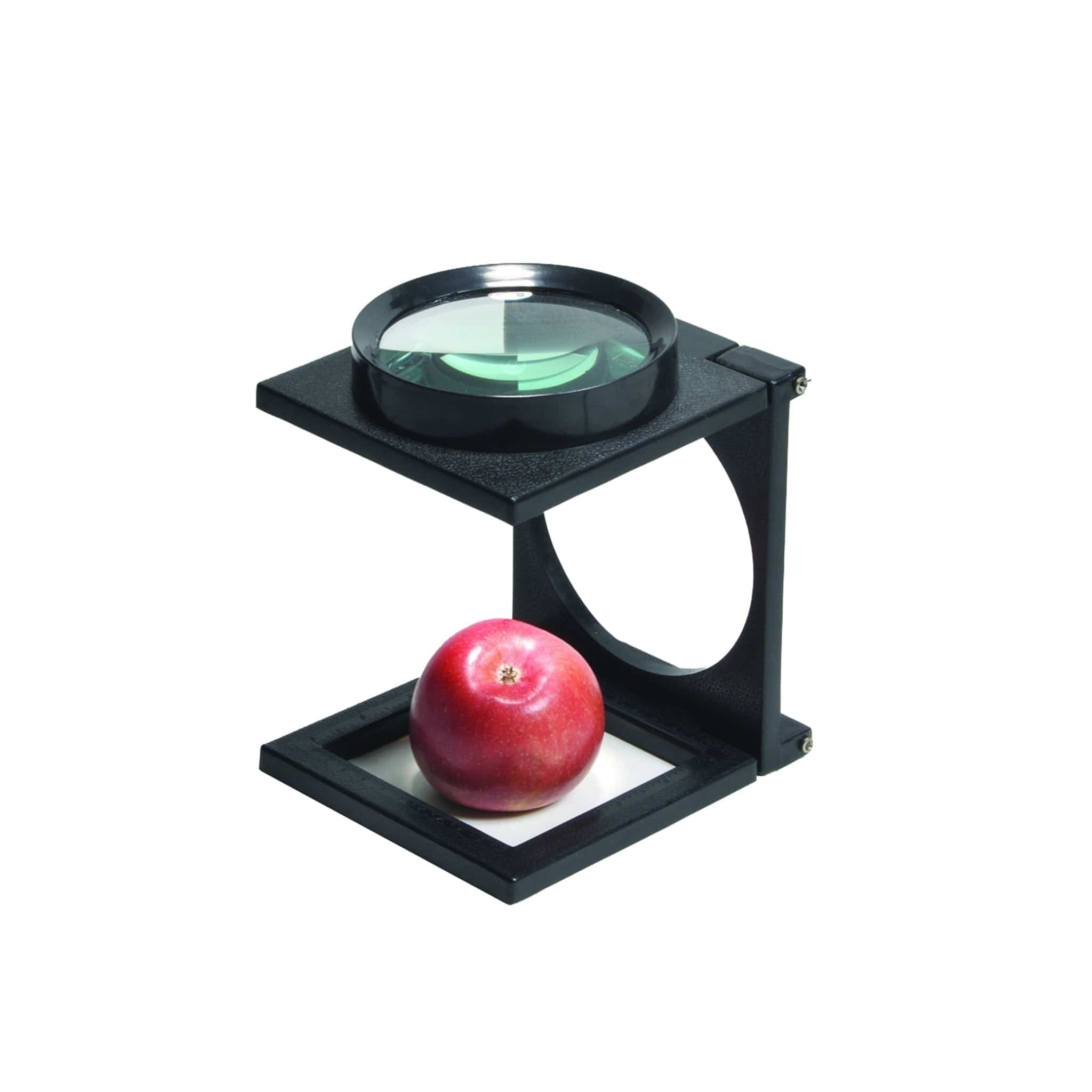 Giant Folding Magnifier – Arbor Scientific
