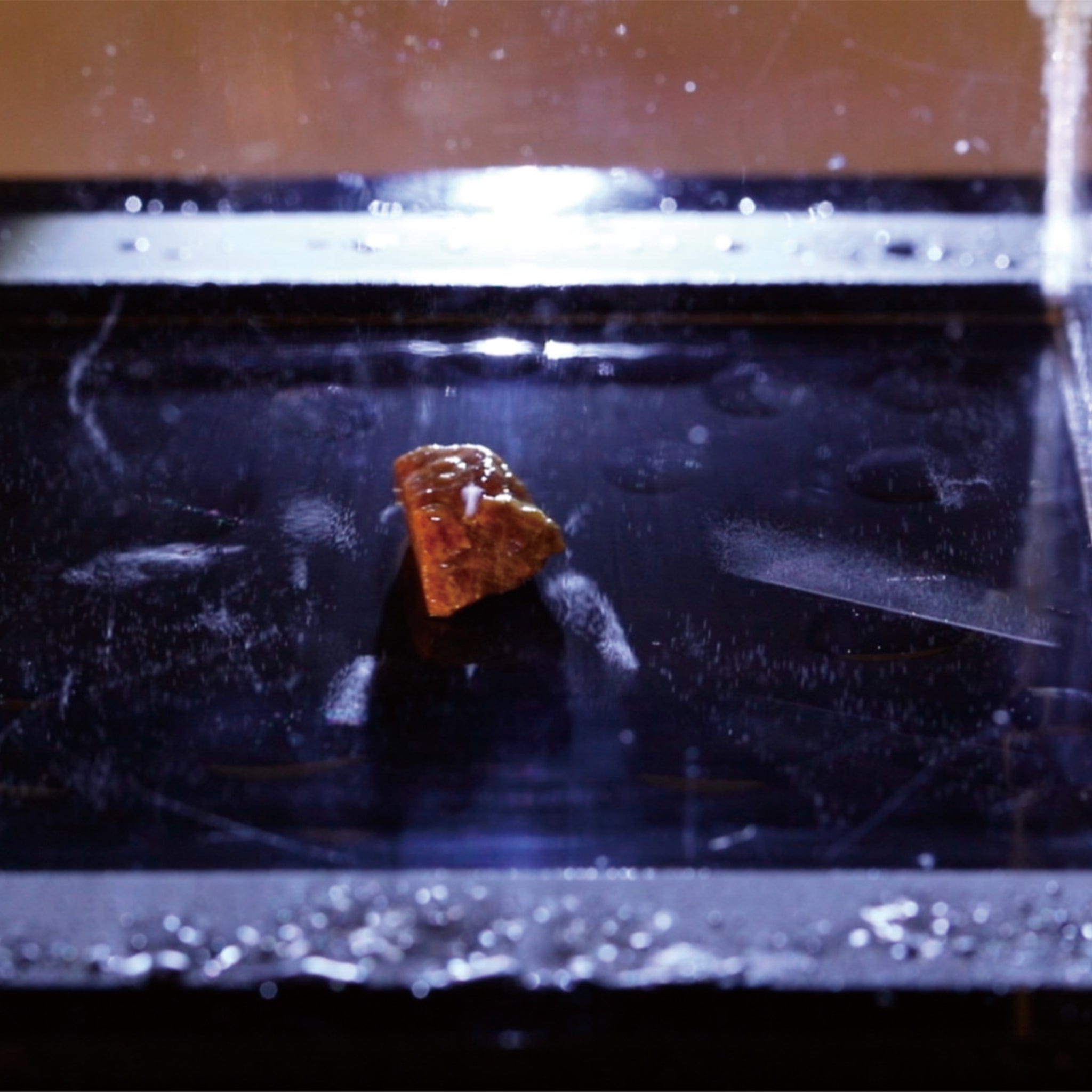 Arbor Scientific Cloud Chamber