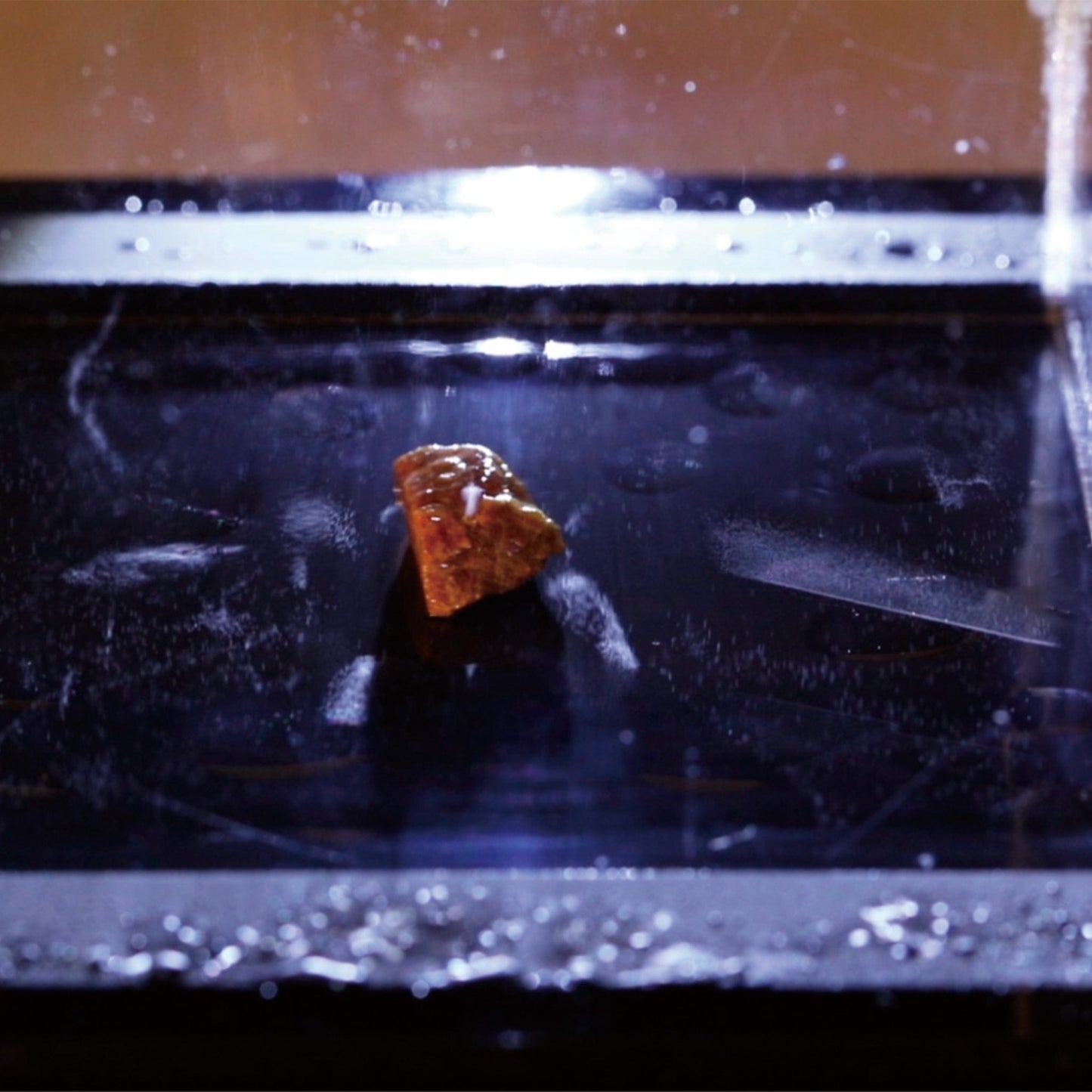 Arbor Scientific Cloud Chamber