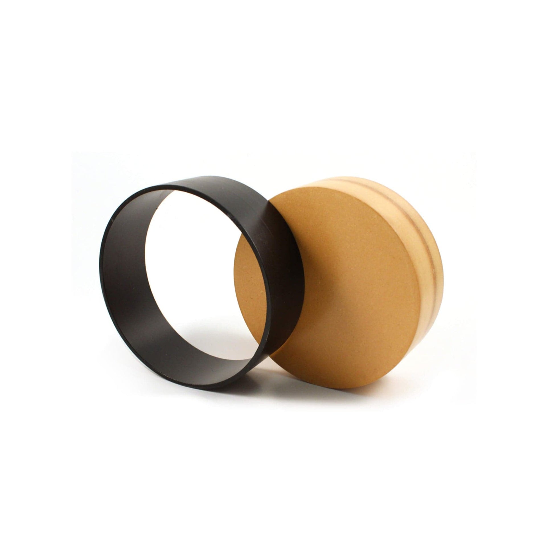 Arbor Scientific Ring and Disk Apparatus