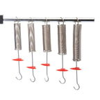 Arbor Scientific Springs Set