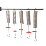 Hooke's Law Spring Set