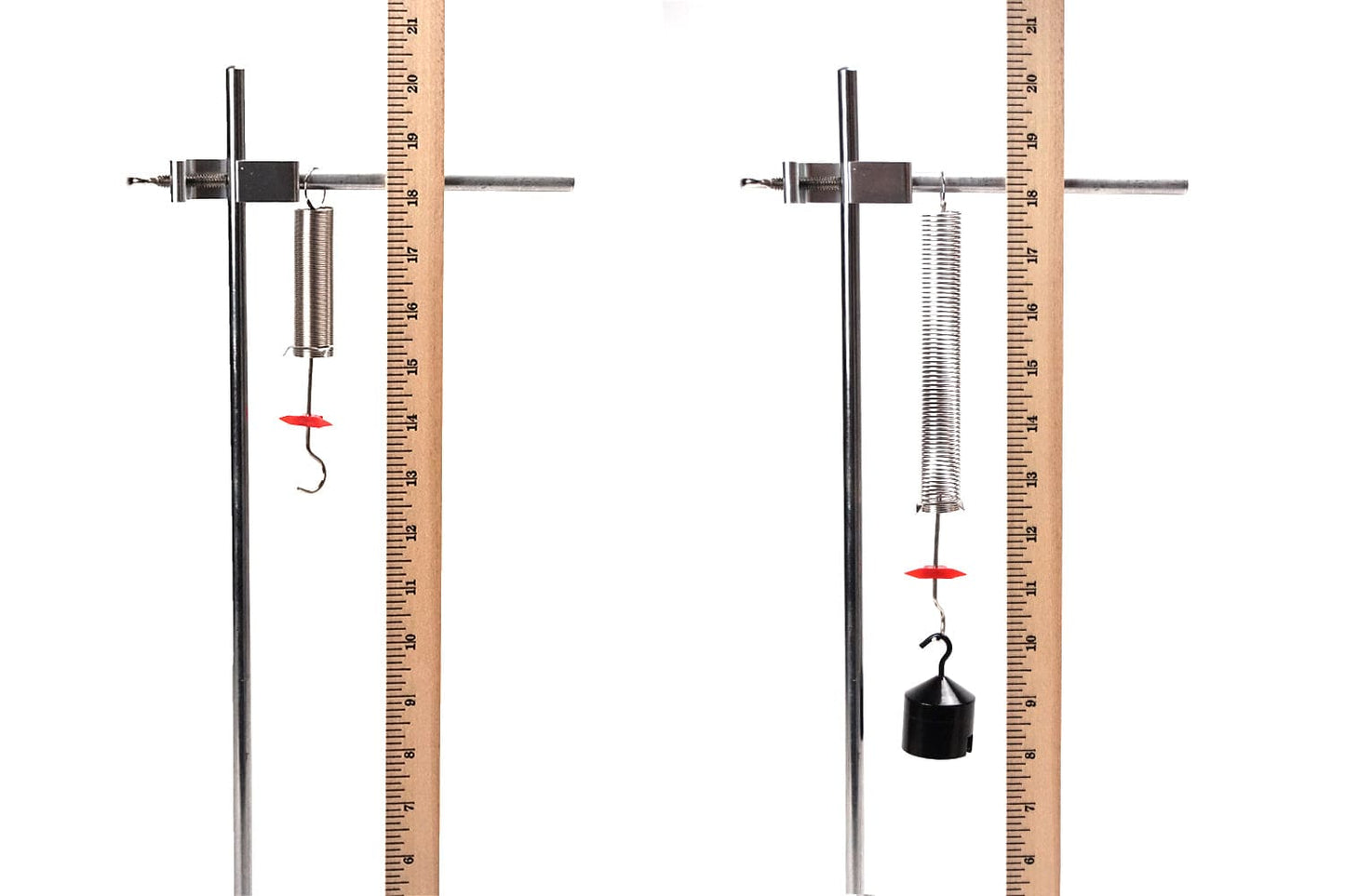 Arbor Scientific Springs Set
