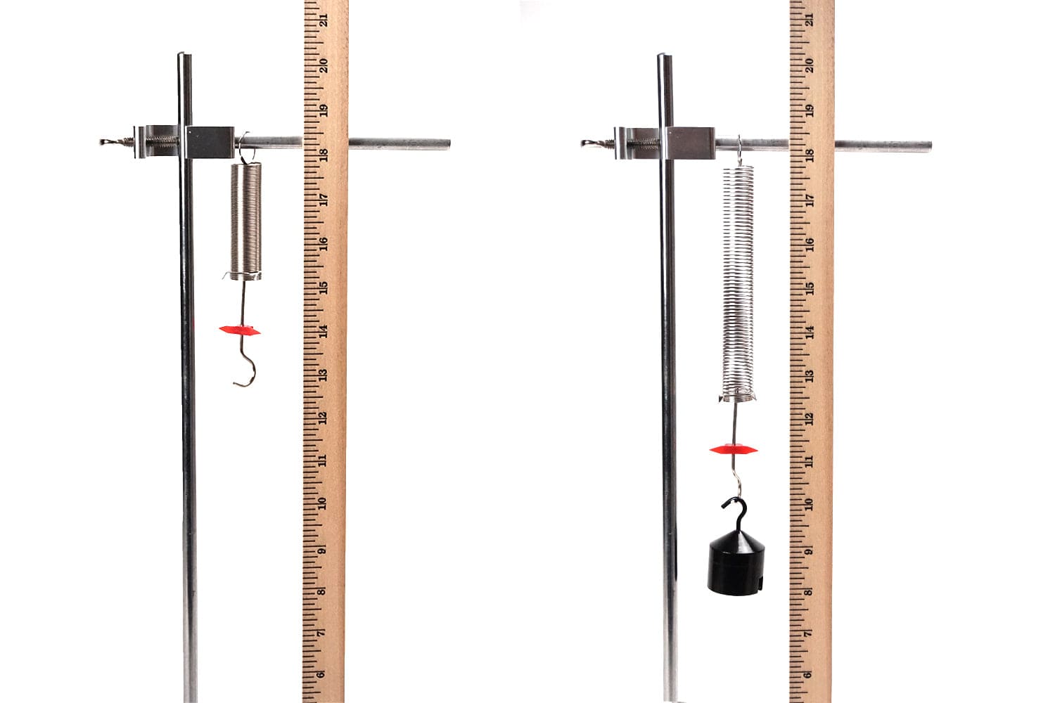 Arbor Scientific Springs Set