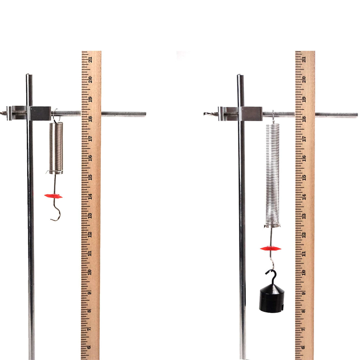 Giant Spring Instrument Springs Set - Arbor Scientific