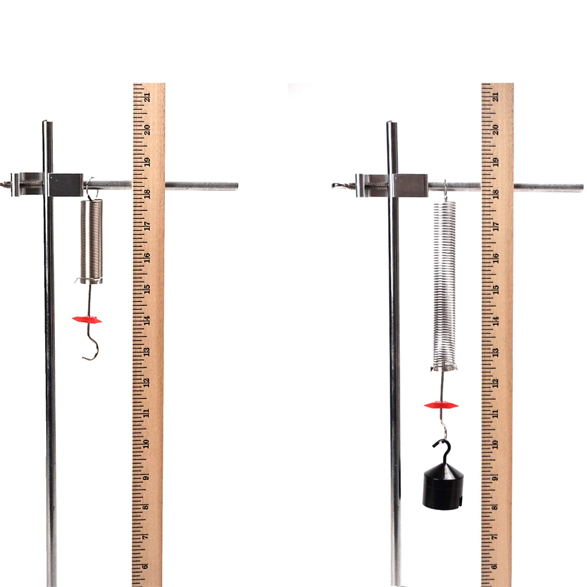 Arbor Scientific Springs Set