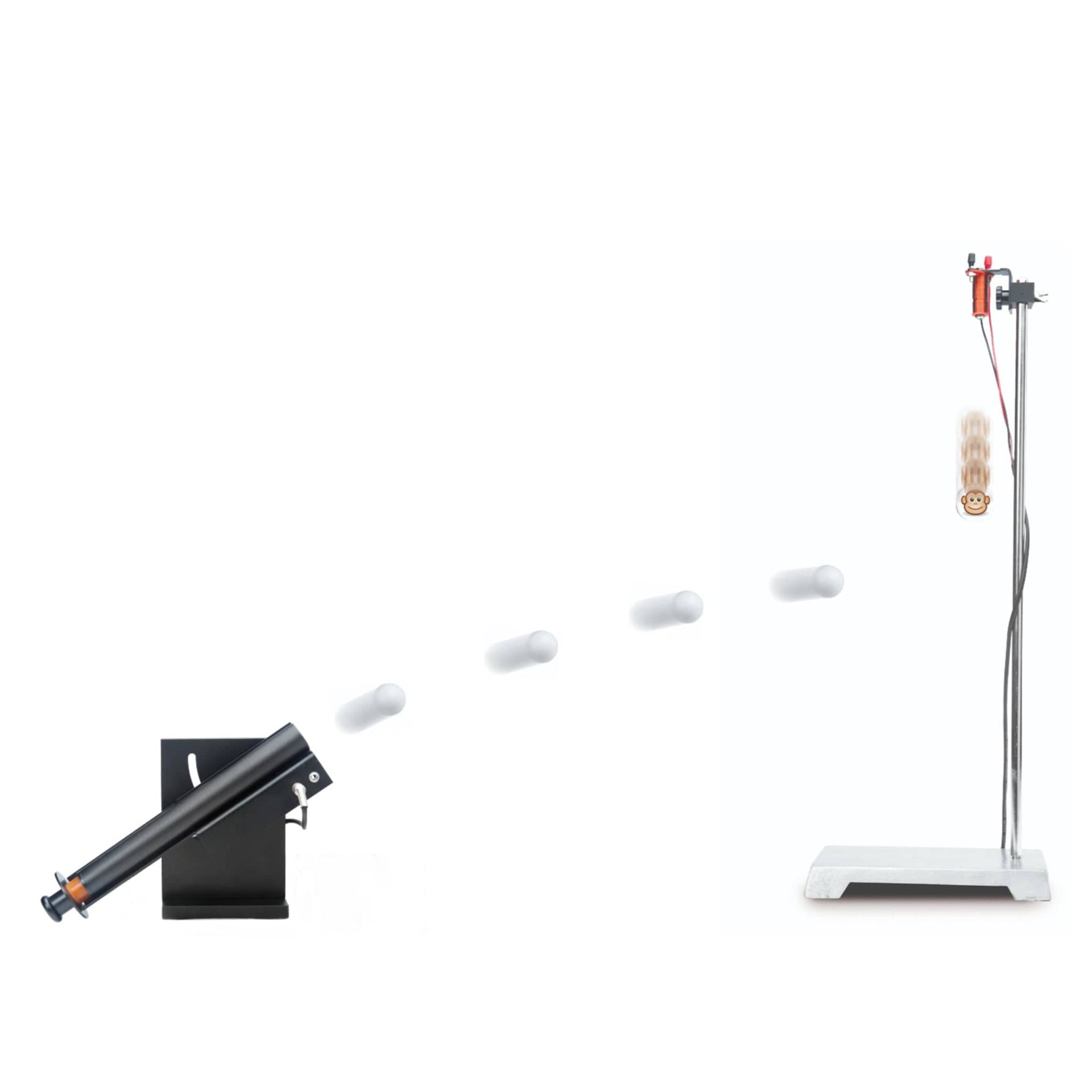 Arbor Scientific Monkey and Hunter Demo