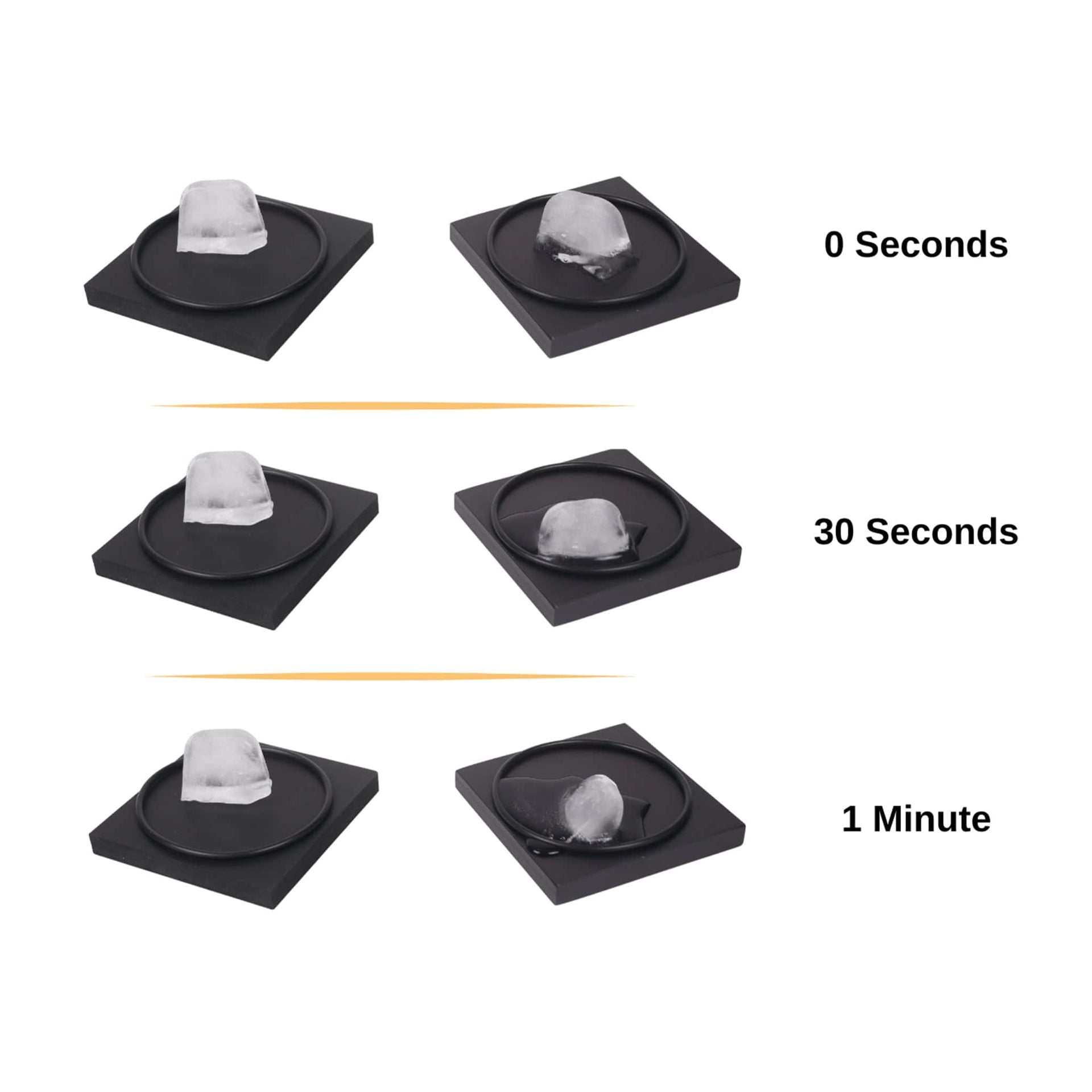 Arbor Scientific Ice Melting Blocks