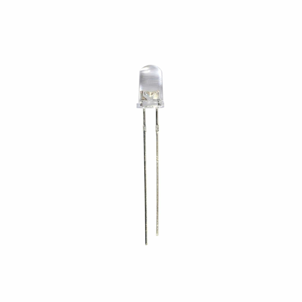 White Test Led White LED, Pack of 10, 5mm Each - Arbor Scientific