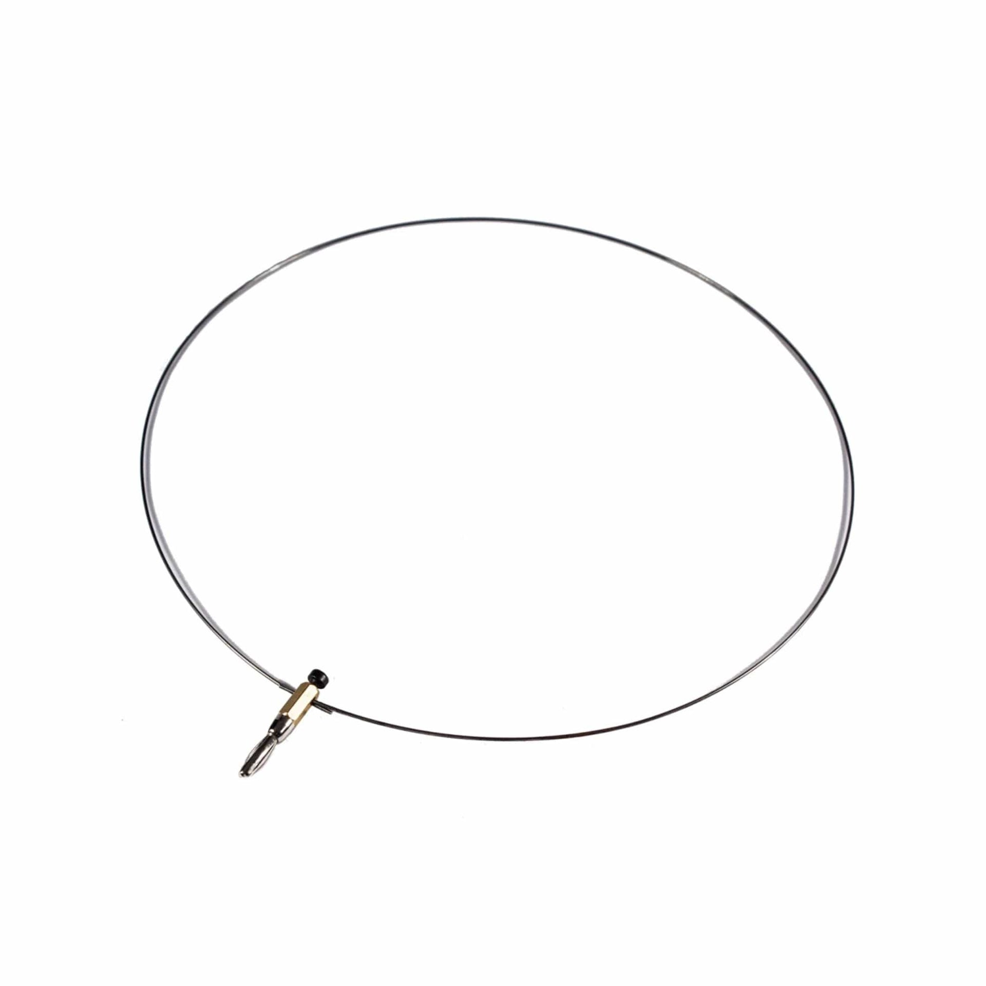 Arbor Scientific Resonance Wire Loop