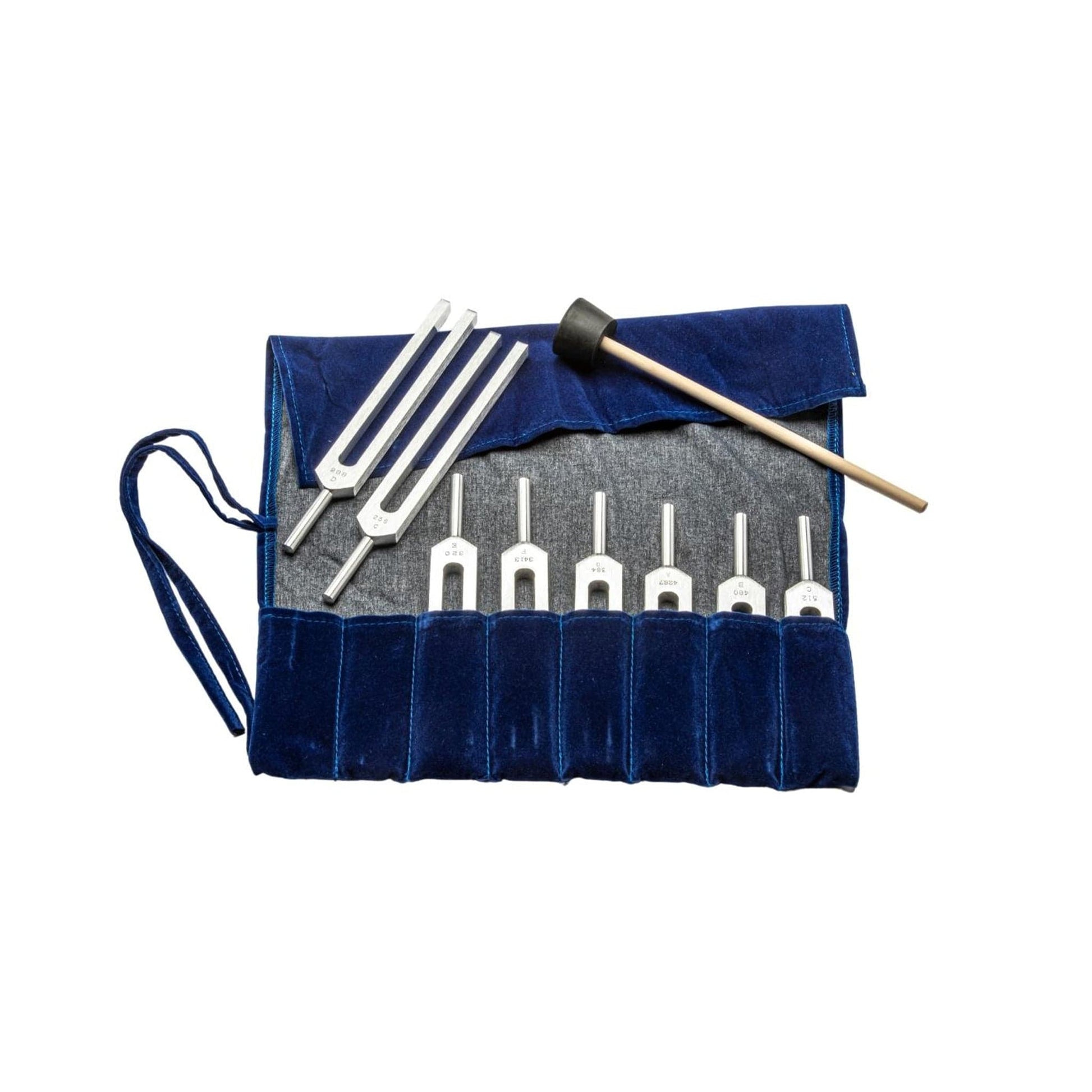 Arbor Scientific Complete Set of Tuning Forks