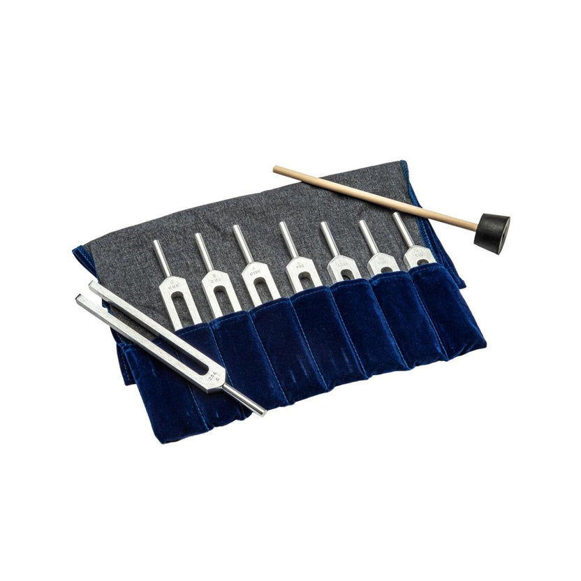 Complete Set of Tuning Forks - Arbor Scientific