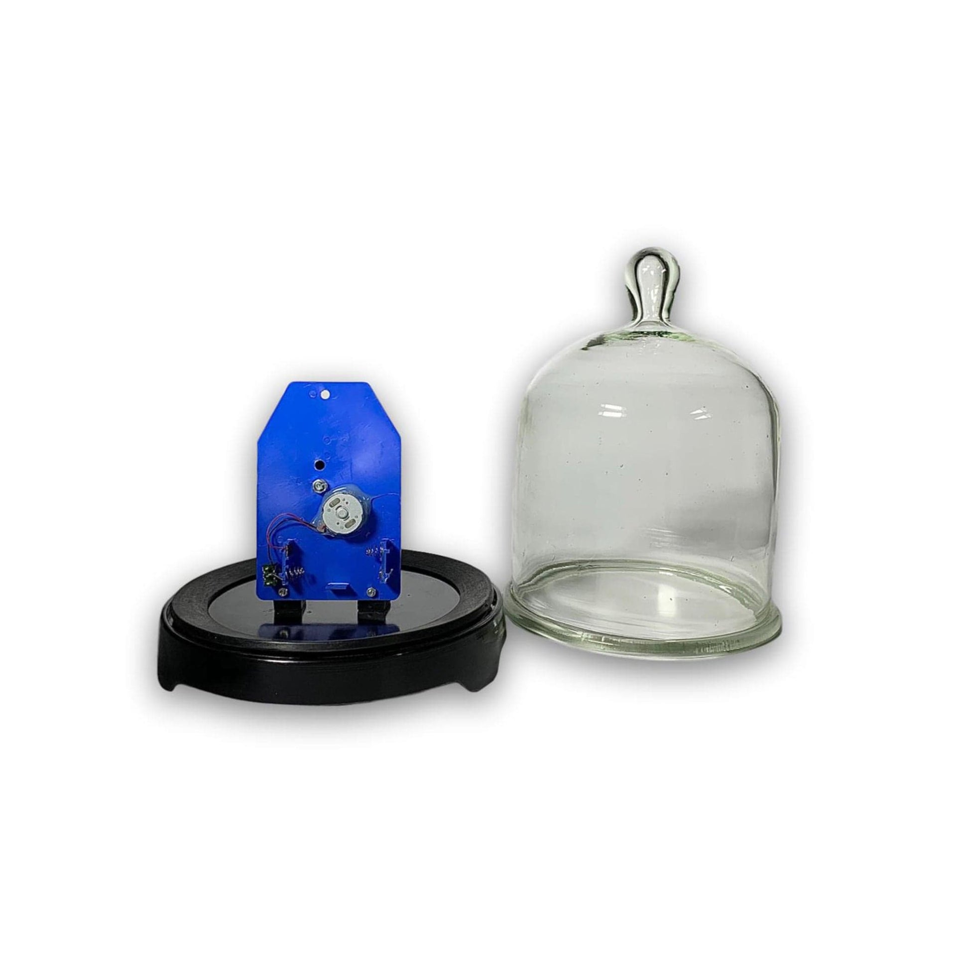 Arbor Scientific Bell Jar and Ringer