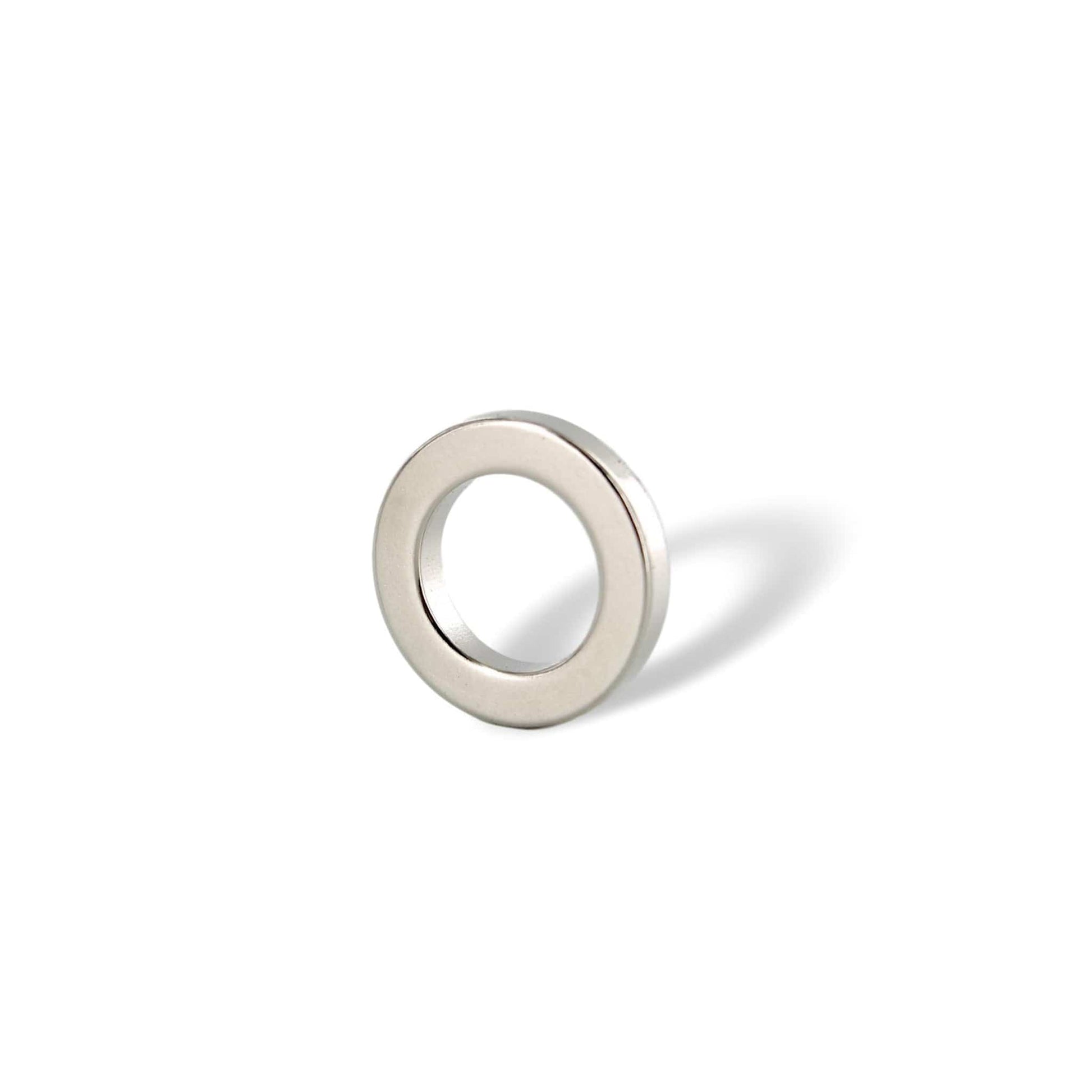 Arbor Scientific Multipole Neodymium Super Ring Magnet