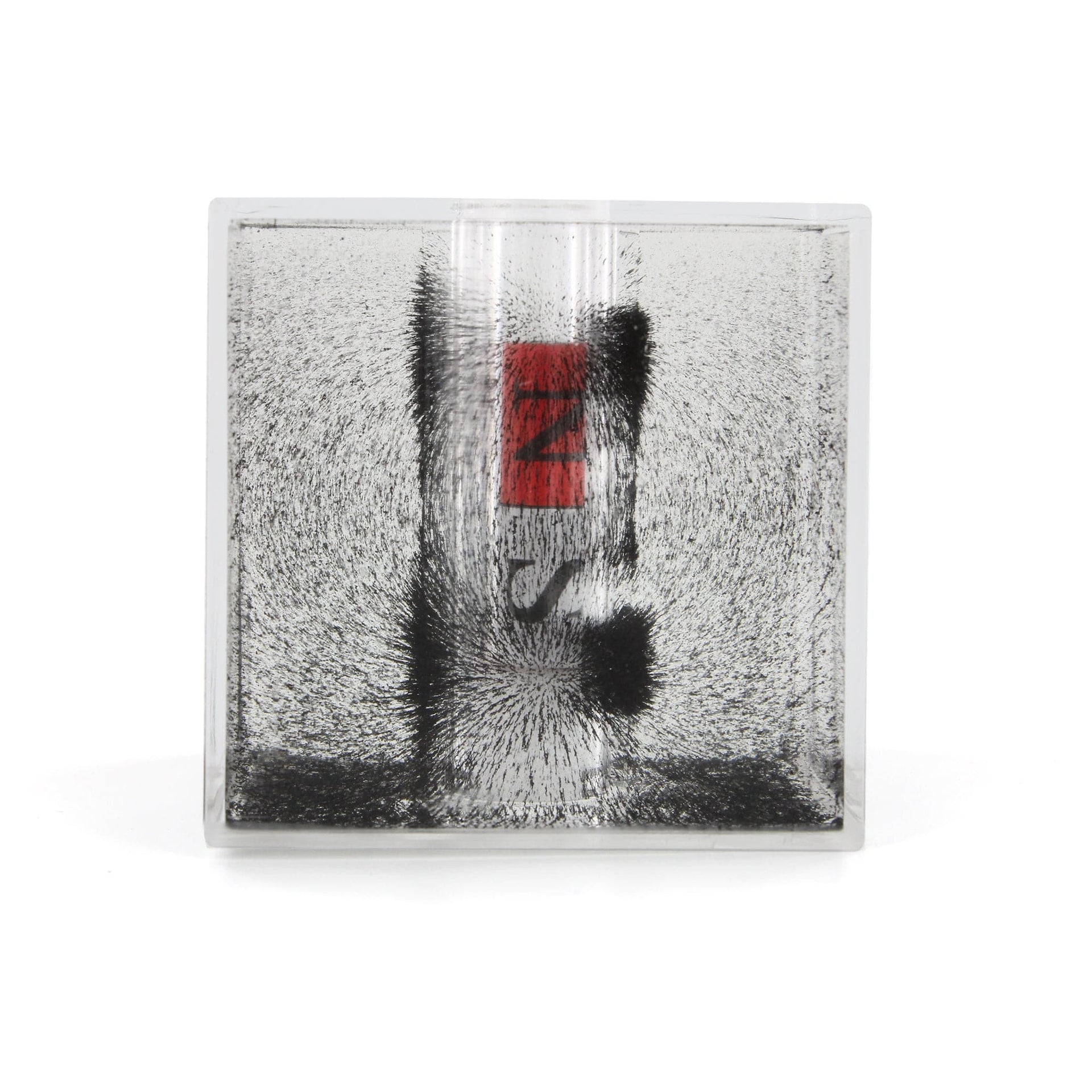 Arbor Scientific 3D Magnetic Field Observation Box