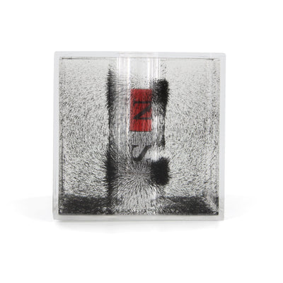 Arbor Scientific 3D Magnetic Field Observation Box