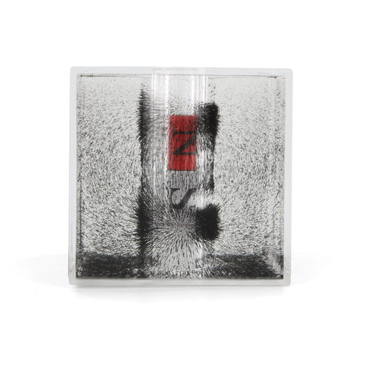 Arbor Scientific 3D Magnetic Field Observation Box