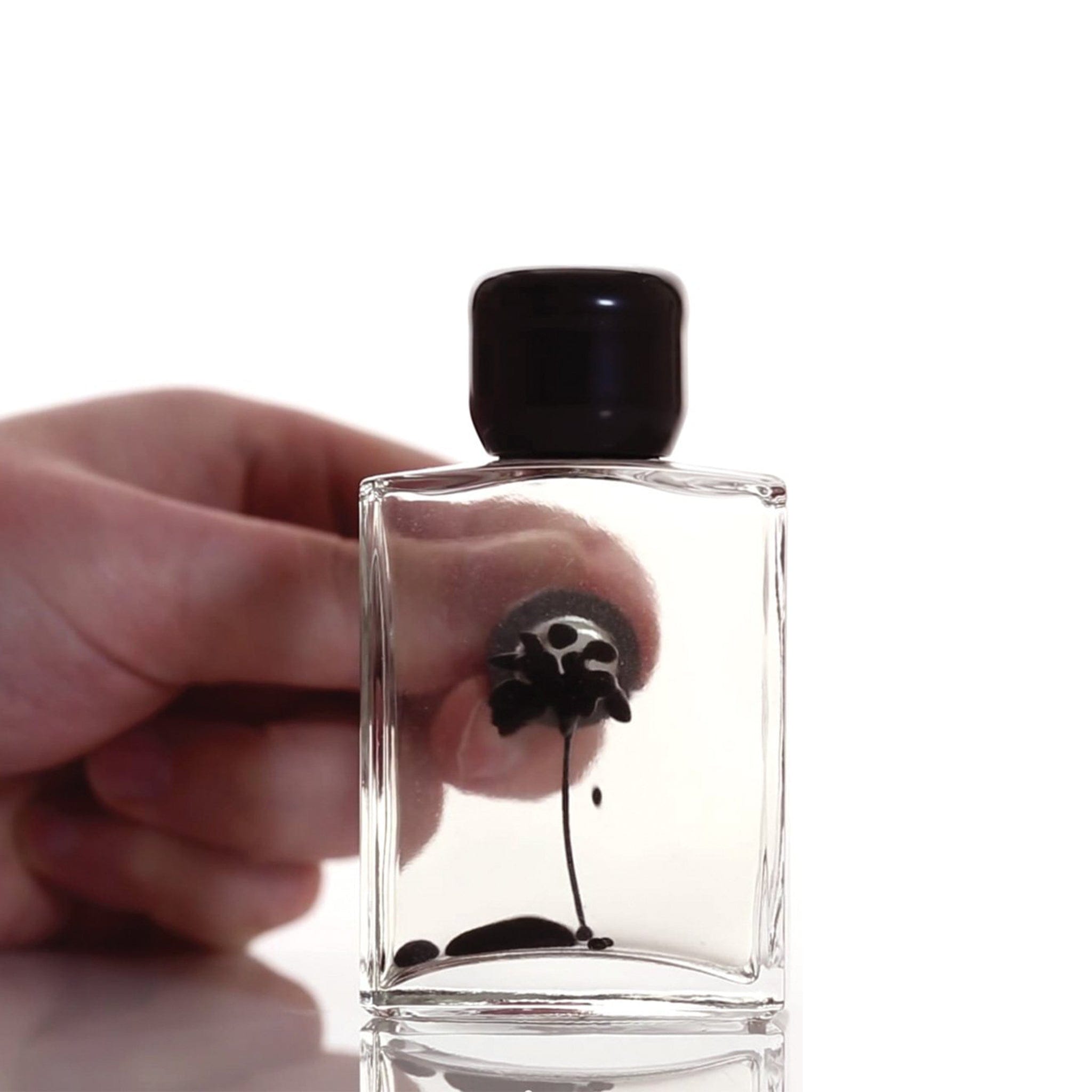 Arbor Scientific Ferrofluid Display Cell
