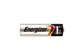 Arbor Scientific AA Battery