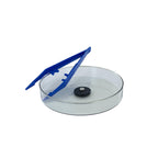 Arbor Scientific Economy Superconductivity Kit