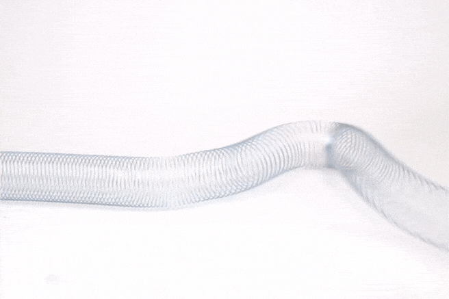 Arbor Scientific Super Springy