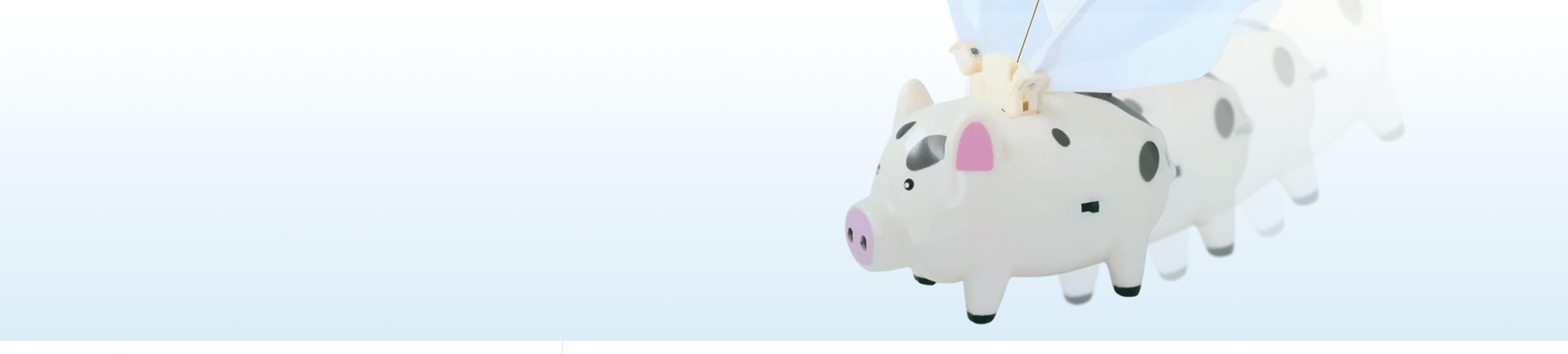 Toy flying pig with a pink nose on a blue background