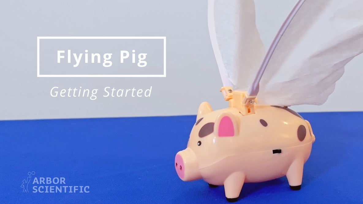 Flying Pig with Flapping Wings - Arbor Scientific