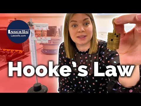 Hooke's Law Apparatus
