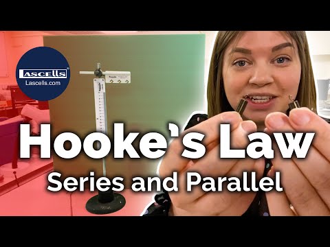 Hooke's Law Apparatus