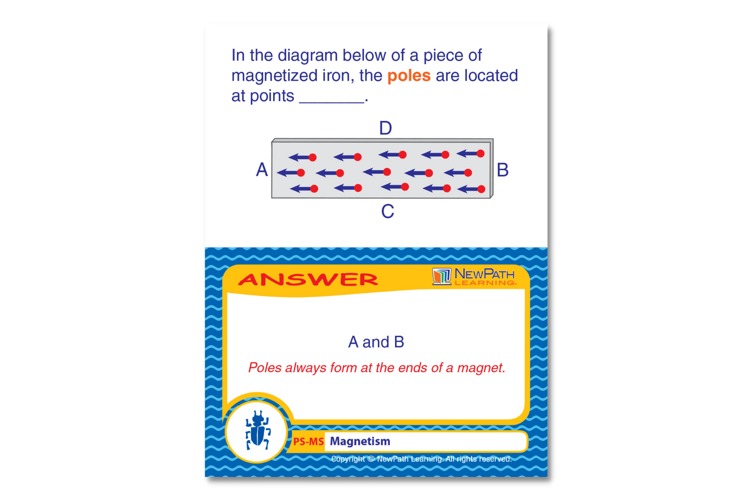 Arbor Scientific Magnetism Learning Center Game, Gr. 6-9