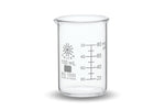 Beakers, Low Form, Borosilicate Glass, 100 mL, 12 Pack