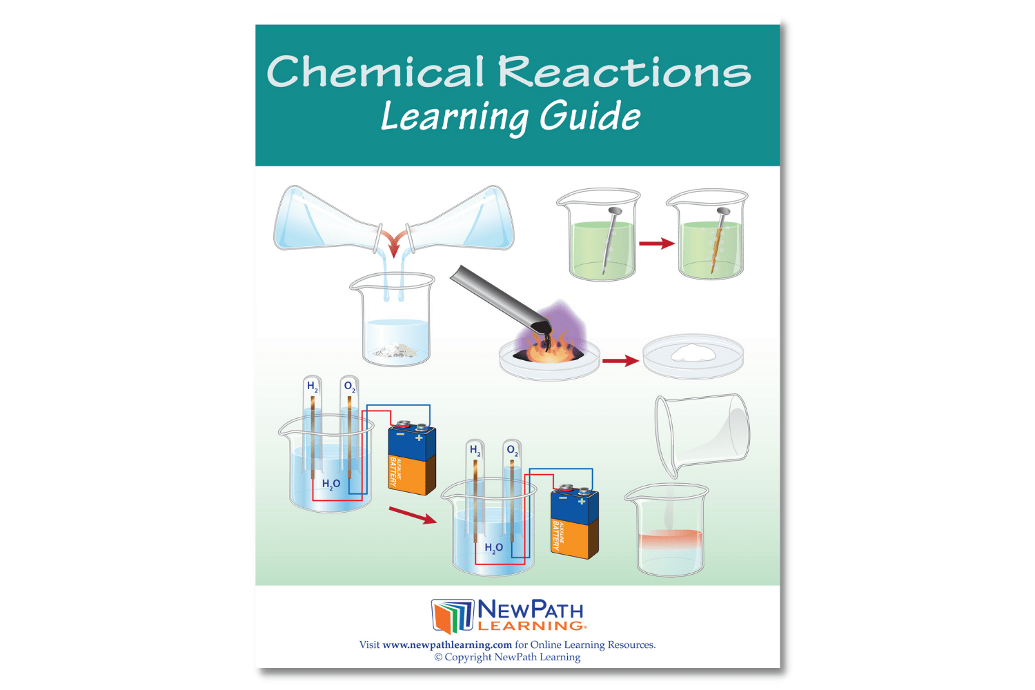 Arbor Scientific Chemical Reactions Learning Guide