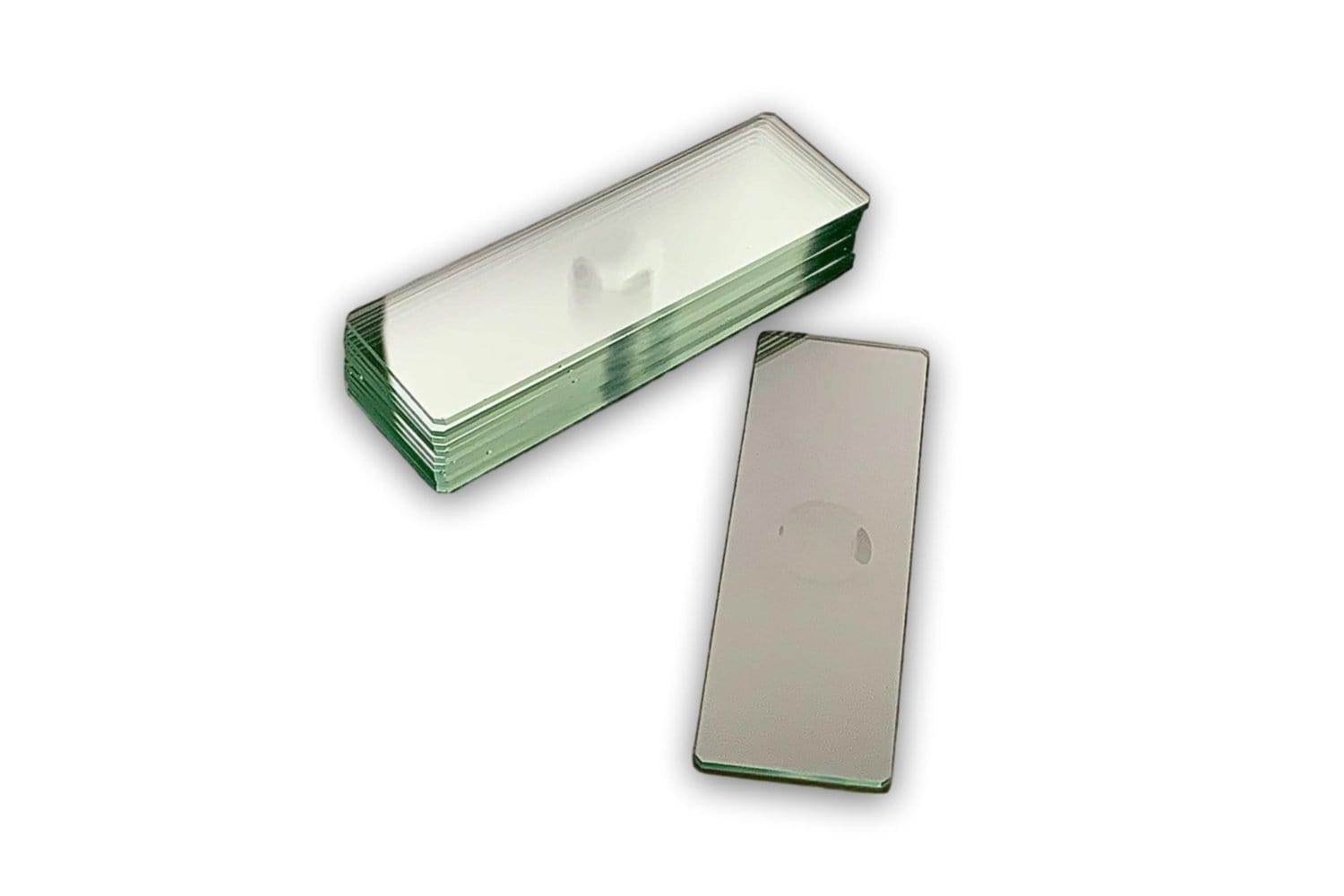 Concave Microslides, 12 Pack - Arbor Scientific