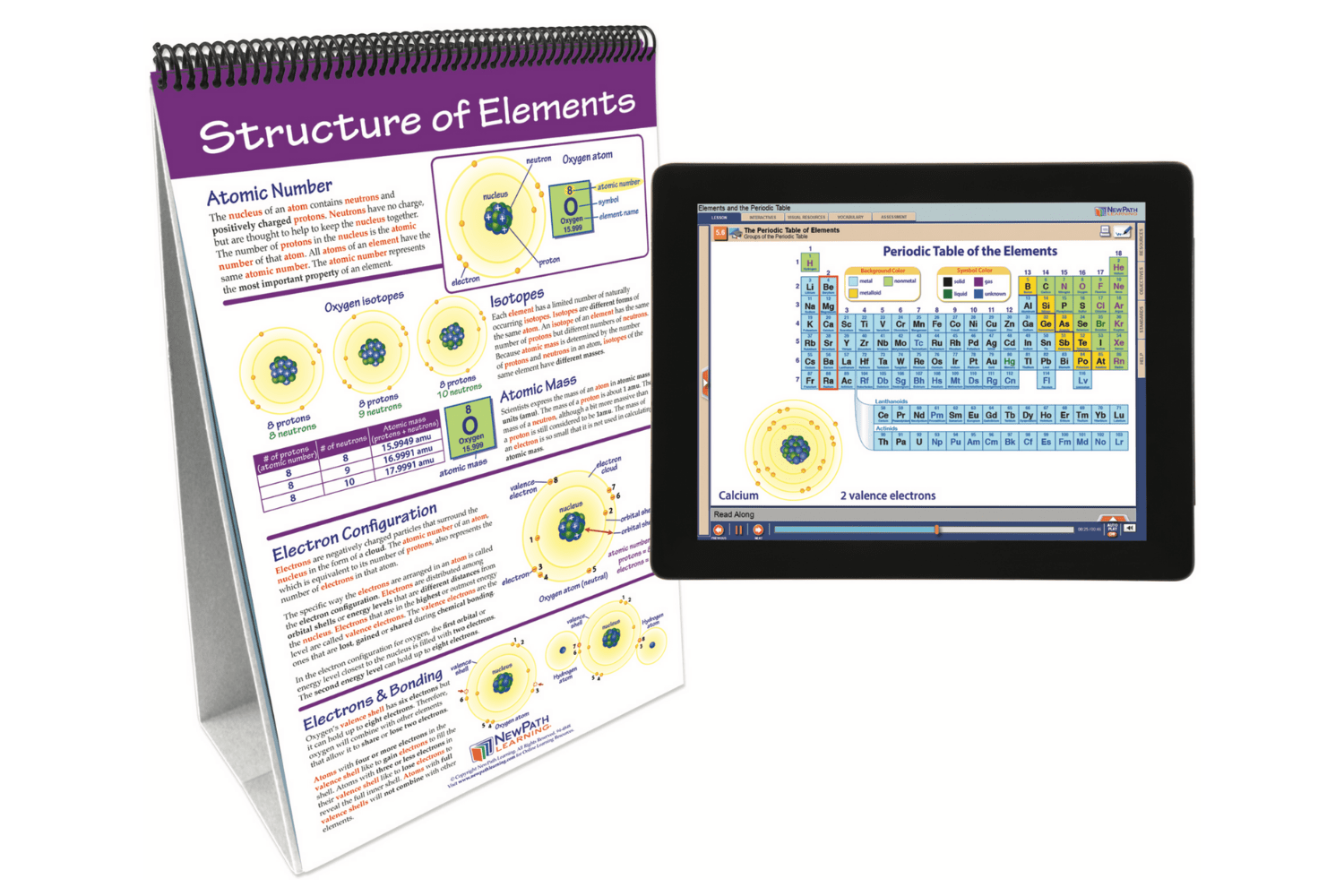 Arbor Scientific Elements & the Periodic Table Flip Chart Set With Online Multimedia Lesson