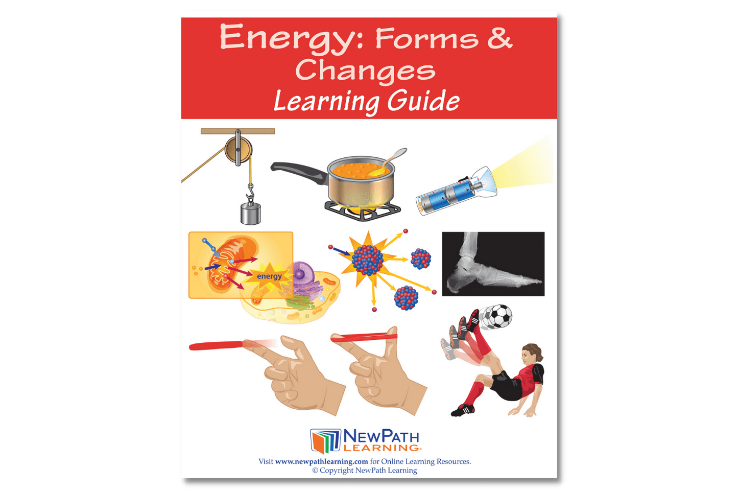 Arbor Scientific Energy: Forms & Changes Learning Guide