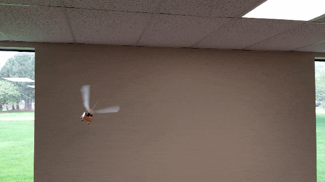Arbor Scientific Flying Pig