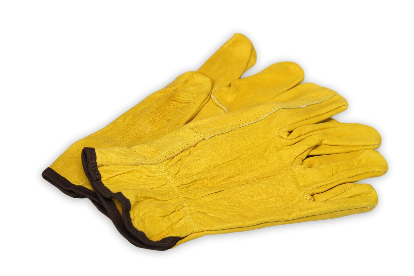 Arbor Scientific Leather Gloves