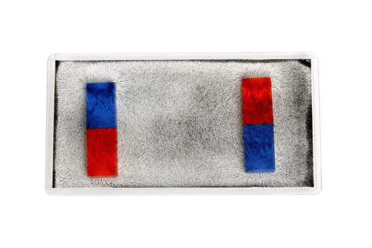 Arbor Scientific Magnetic Field Observation Window