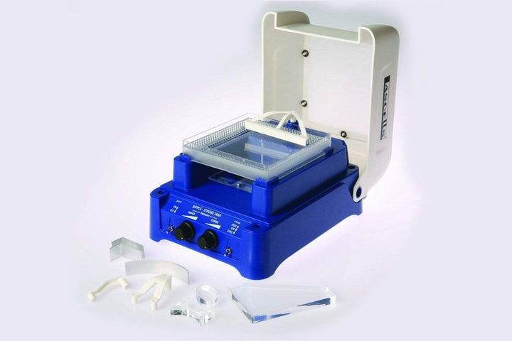 Wave Motion – Arbor Scientific