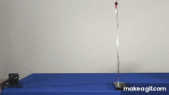Monkey and Hunter Demo Apparatus - Arbor Scientific
